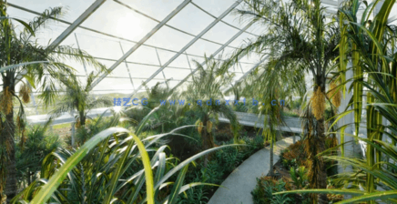 热带植物园Globe Plants - Bundle14 - Tropical Garden 02(图1)