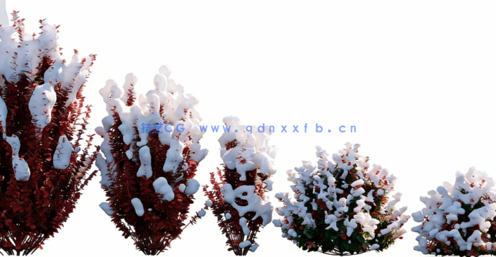 冬天落雪植物3D模型 Globe Plants – Bundle 35 – Winter Plants(图5)