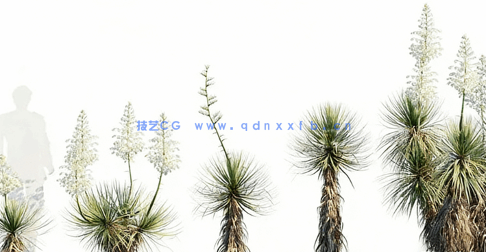 沙漠植物3D模型 Globe Plants – Bundle 11 – Desert Garden(图2)