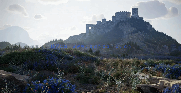 草地和花园景观3D植物模型Globe Plants - Bundle 58 - Meadow Plants(图3)