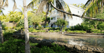 热带3D植物模型Globe Plants - Bundle 56 - Hawaiian Plants(图2)