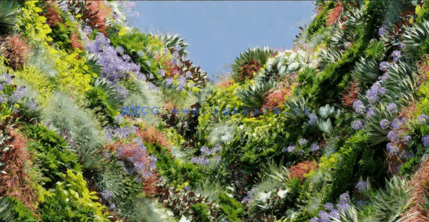 植物墙植物3D模型 Globe Plants – Bundle 47(图3)