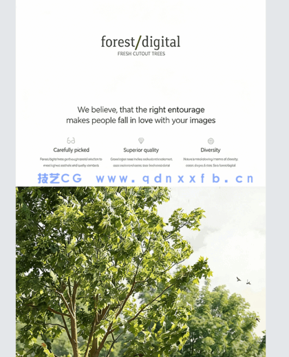 高清PNG素材秋季树木ForestDigital vol. 5 - Autumn trees(图5)
