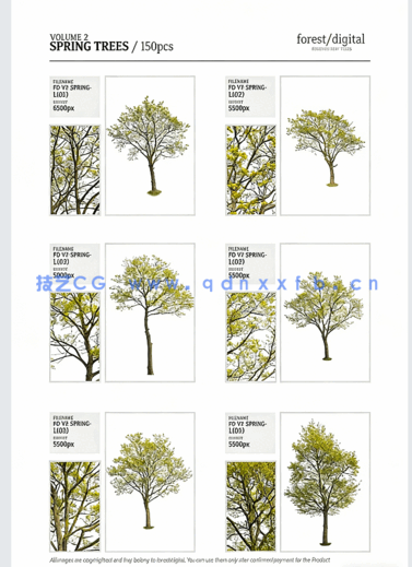  高清PNG素材春季树木Forest/Digital Vol. 2 – Spring(图3)