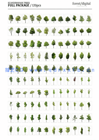 超高清树木PNG素材Forest/Digital Vol. 1 – Trees(图2)