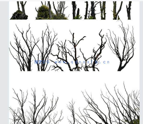  高清枯树免抠素材(图3)