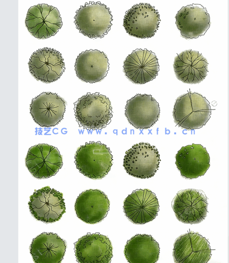  PSD手绘风平面植物免扣素材(图1)