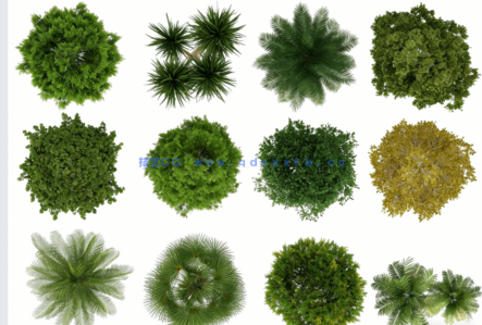 PSD平面植物素材(图2)