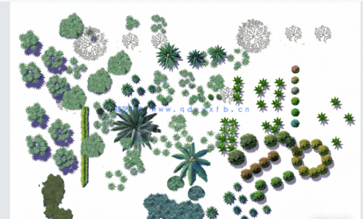  PSD小清新平面植物素材(图3)