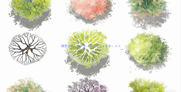  PSD小清新平面植物素材(图6)