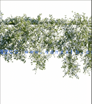 40个植物树木3DSKY PRO模型(图6)