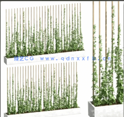 40个植物树木3DSKY PRO模型(图3)