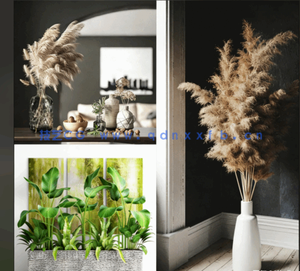 3dsky&装饰类[植物/摆设/雕塑/雕花/服装/小动物]PM管理器模型(图1)