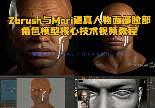 Zbrush与Mari逼真人物面部脸部角色模型核心技术视频教程(图1)