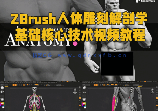 ZBrush人体雕刻解剖学基础核心技术视频教程(图1)