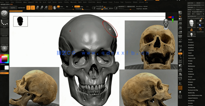  ZBrush雕刻建模核心工作流程大师级视频教程(图5)