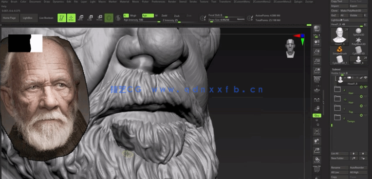 Zbrush人像肖像雕刻核心技术训练视频教程 (图4)
