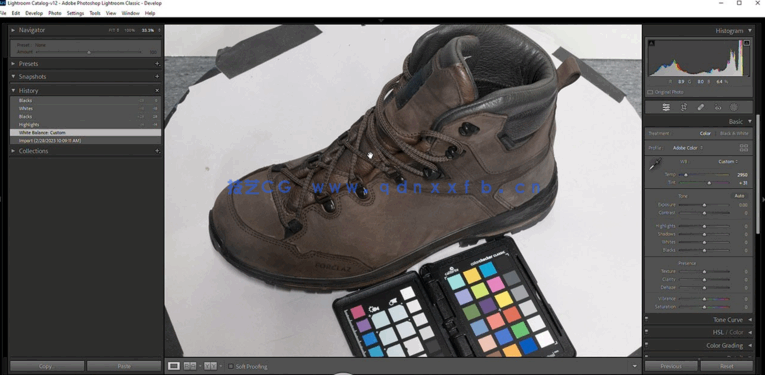 利用摄影测量技术制作模型工作流程大师级视频教程 (图2)