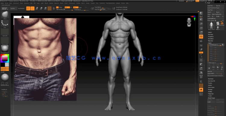  Zbrush逼真3D角色人体骨架肌肉解剖制作视频教程(图2)
