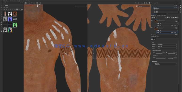  Zbrush逼真3D角色人体骨架肌肉解剖制作视频教程(图6)