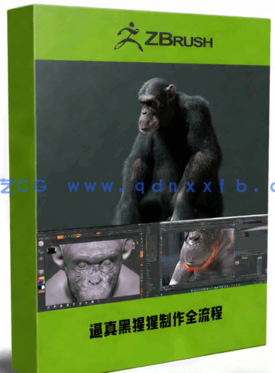 逼真黑猩猩生物CG制作全流程视频教程(图1)
