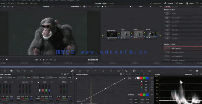 逼真黑猩猩生物CG制作全流程视频教程(图6)