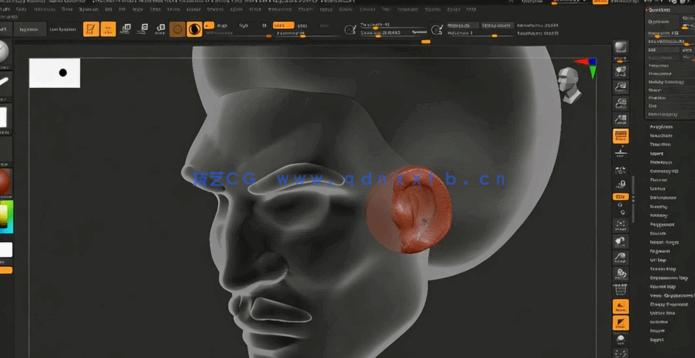  ZBrush初学者基础知识入门训练视频教程(图5)