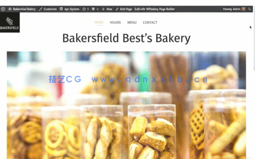 使用响应式WordPress主题制作网站工作流程视频教程(图4)