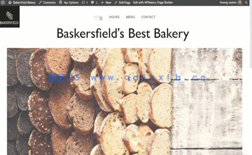 使用响应式WordPress主题制作网站工作流程视频教程(图5)