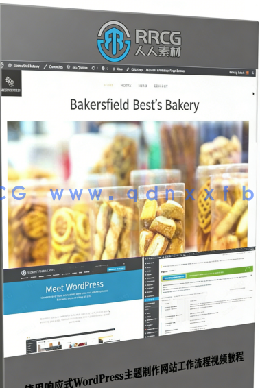 使用响应式WordPress主题制作网站工作流程视频教程(图6)