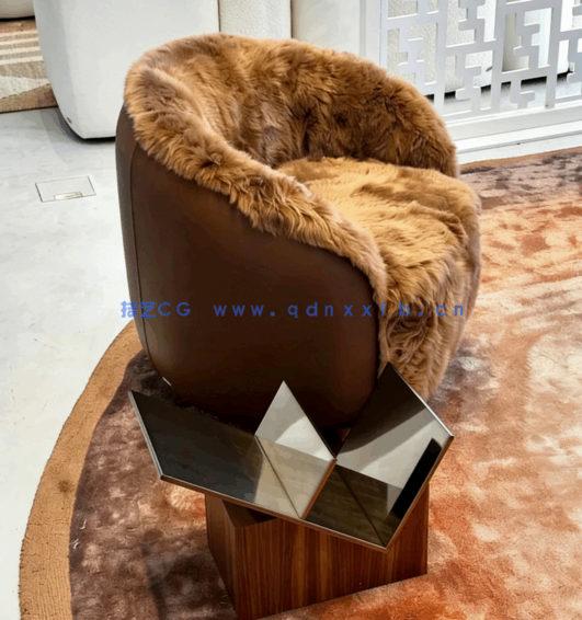 2022~2024年米兰国际家具展现场考察全部资料集(图8)