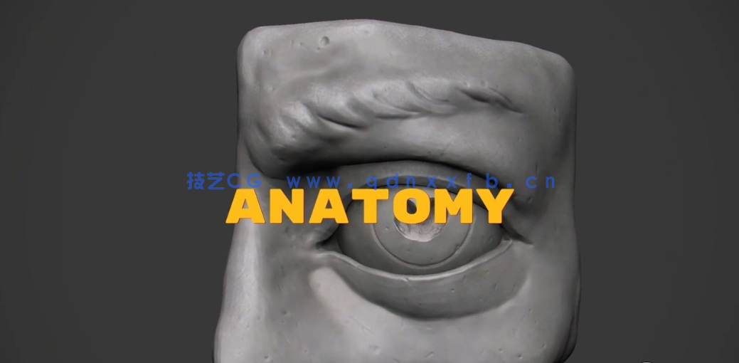 Zbrush高级雕刻技术大师班视频教程 (图4)