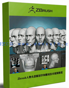 Zbrush人物头部解剖学和雕刻技术训练视频教程 (图1)