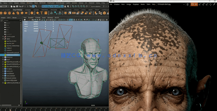 Zbrush逼真人形生物概念设计完整制作流程视频教程(图5)