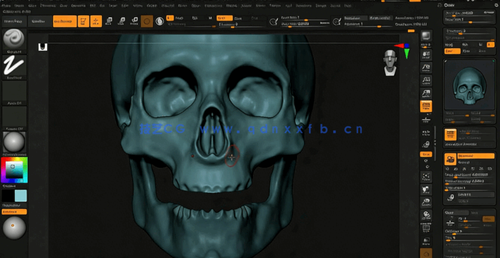 Zbrush人类头骨骷髅雕刻制作流程视频教程(图4)