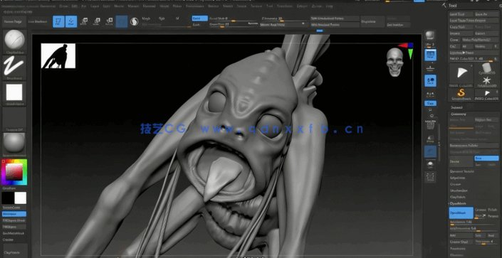ZBrush雕刻艺术家大师级训练视频课程(图3)