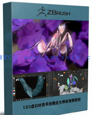 ZBrush与Marmoset Toolbag螳螂生物概念雕刻建模视频教程(图1)
