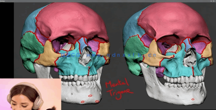 Laura gallagher角色艺术家好莱坞大师级视频课程合集(图4)