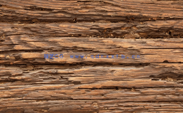 20张高清旧木贴图(图3)