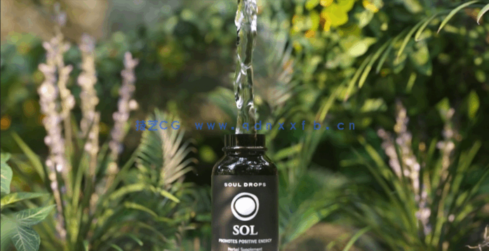 OC渲染器丛林化妆品包装瓶流水动画广告案例C4D教程(图2)