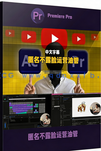 【中文字幕】完全匿名不露脸运营油管YouTube频道视频教程(图6)