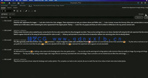 【中文字幕】Premiere Pro为视频添加制作字幕视频教程(图4)