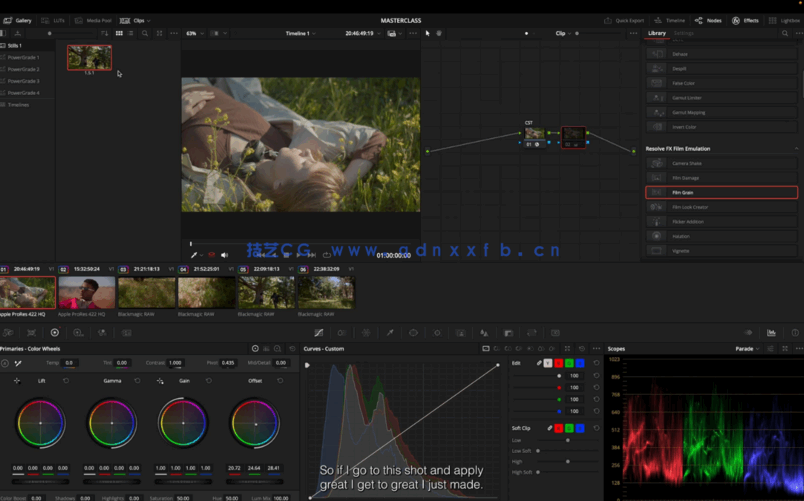 [DaVinci Resolve] 【中英双语】DaVinci Resolve高效可复用专业调色流程大(图3)