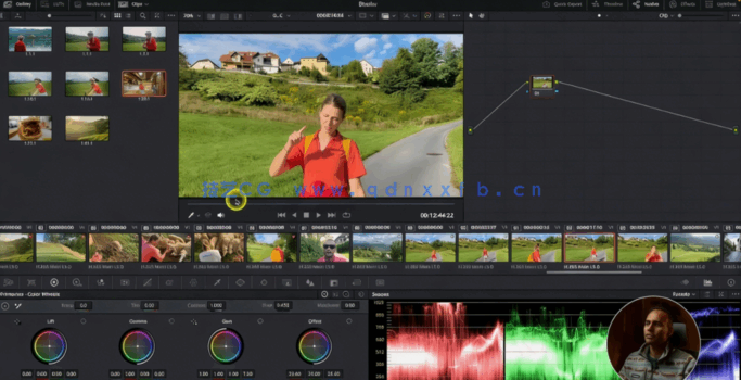 [DaVinci Resolve] 【中英双语】DaVinci Resolve油管视频剪辑高效工作流视频教程(图5)