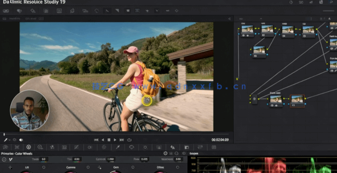 [DaVinci Resolve] 【中文字幕】DaVinci Resolve 19视频编辑与色彩分级全面(图4)