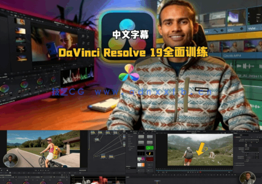 [DaVinci Resolve] 【中文字幕】DaVinci Resolve 19视频编辑与色彩分级全面(图5)