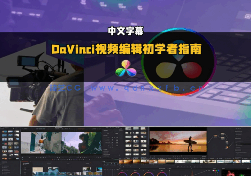 [DaVinci Resolve] 【中文字幕】DaVinci Resolve视频编辑初学者完全指南视(图7)