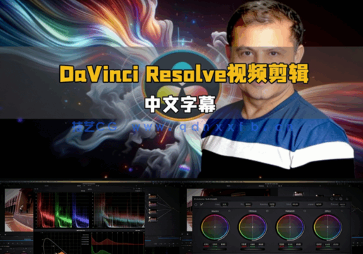 [DaVinci Resolve] 【中文字幕】DaVinci Resolve达芬奇视频剪辑从入门到精(图7)