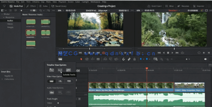 [DaVinci Resolve] DaVinci Resolve如何从从初学者到电影制作人视频教程(图3)