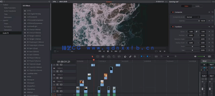 [DaVinci Resolve] DaVinci Resolve视频编辑从小白变大师视频教程(图6)